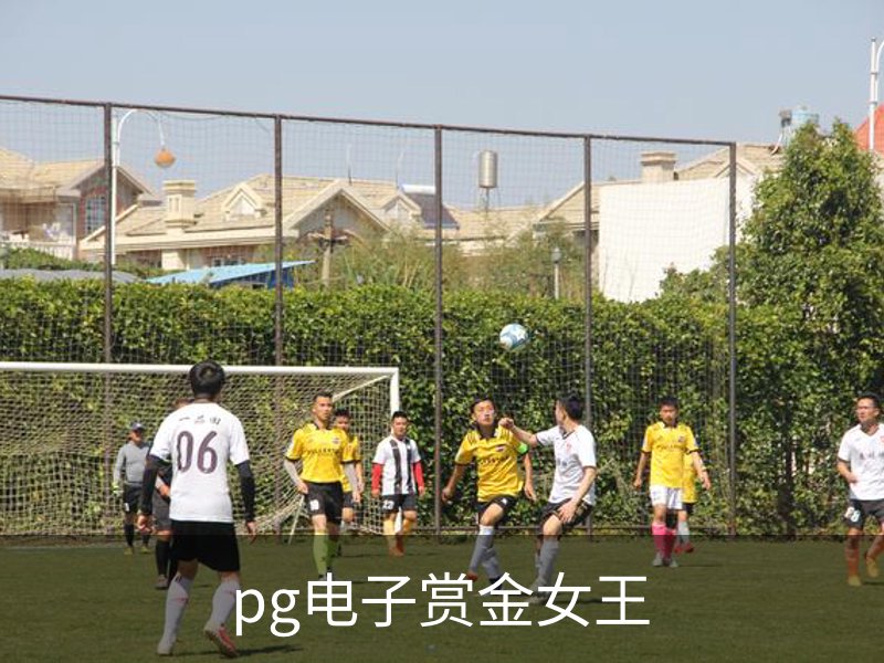 了解pg电子赏金女王
